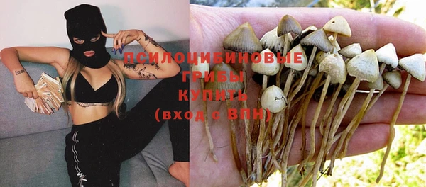 синтетический гашиш Баксан